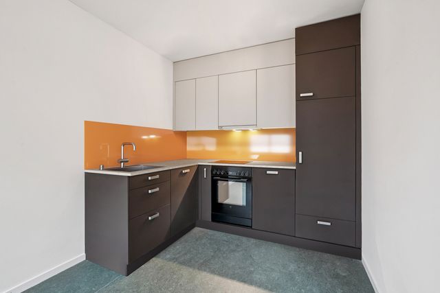 251118_Siedlung Hardau_2.5_Wohnung gross_12.jpg